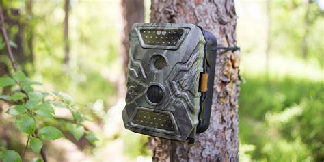 Best wildlife cameras - Which?