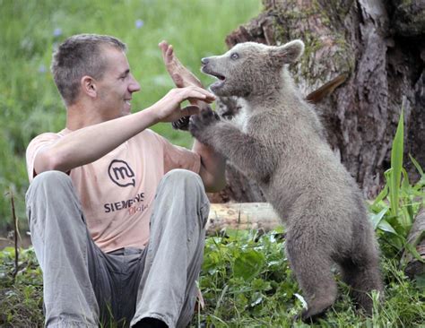 The Laughing Pet: A genuine bear hug