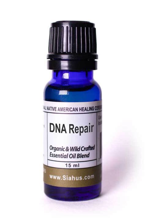 DNA Repair - Siahus.com