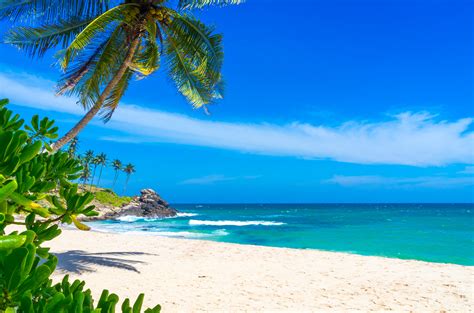 Tropical beach in Sri Lanka - Pure Vacations