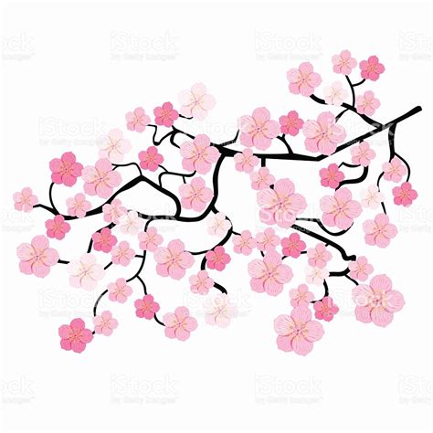 Cherry Blossom Clipart | Free download on ClipArtMag