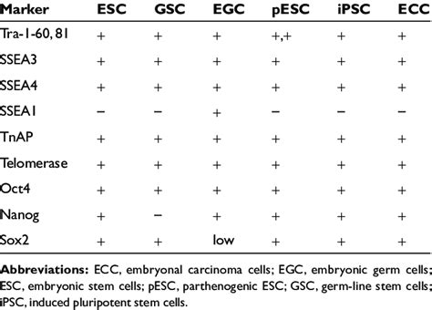 Pluripotent stem cell markers | Download Table