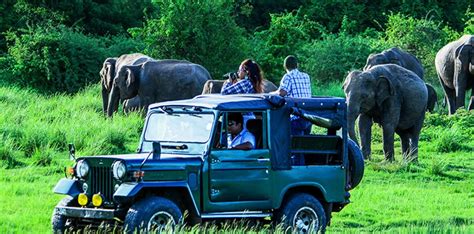 Sri Lanka Wildlife Safari Tours | Exciting Wildlife Safari Tours in Sri ...