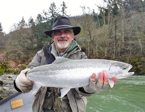 Winter Steelhead Fishing on Oregon's Rogue and Other South Coast Rivers - Best Fishing in America