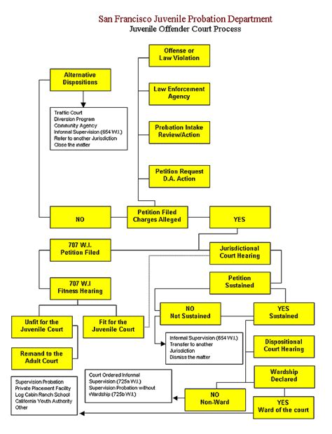 Juvenile Court Process Flow Chart