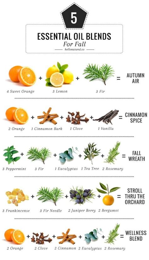 5 Essential Oil Blends To Make Your House Smell Like Fall | Potpourri ...