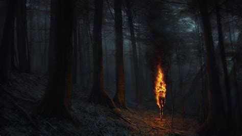 landscape, abstract, black Color, nature, mystery, forest Fire, bonfire ...