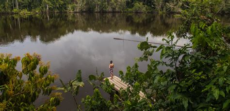 Resuming operations in the Yasuni National Park - Pure! Travel Group