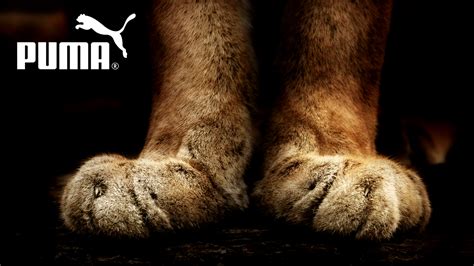 Puma Sport Company Logo HD Wallpapers Artworks| HD Wallpapers ...