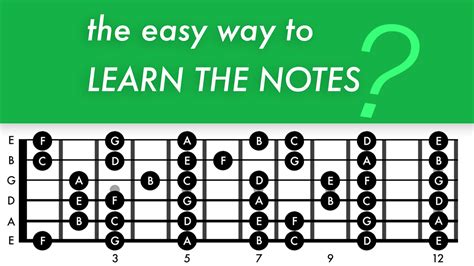 How to learn the notes on the fretboard — Guitar Nutrition