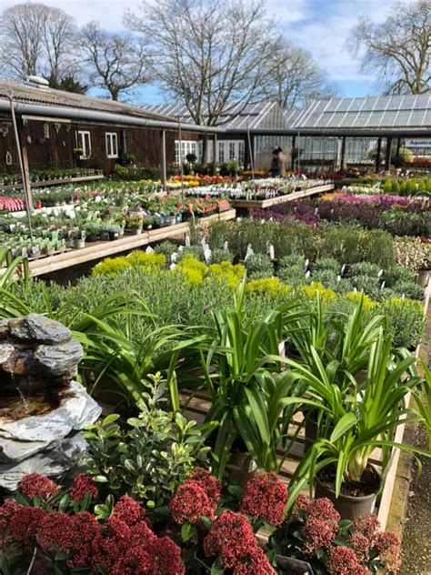 Toad Hall Garden Centre, Henley-on-Thames - The Oxford Magazine