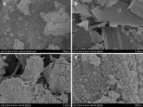 SEM images of a ferrihydrite, b biochar, c F–B complex, and d an... | Download Scientific Diagram