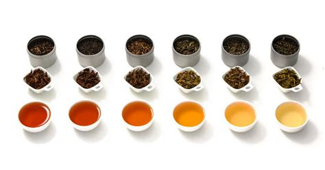 What are the Most Popular Types of Tea? Green, Black, Oolong, White & Chai