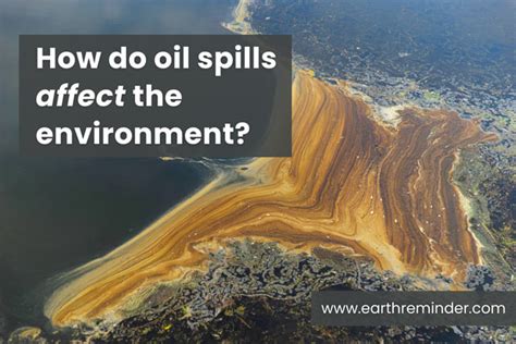 How Do Oil Spills Affect the Environment? | Earth Reminder