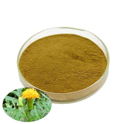 Health Care Supplement Raw Material Gynura Procumbens Extract - China Extract and Pharmeceutical