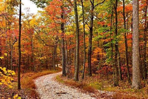 Kanawha State Forest - West Virginia State Parks - West Virginia State ...