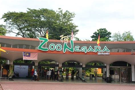 Zoo Negara needs urgent donations - Selangor Journal