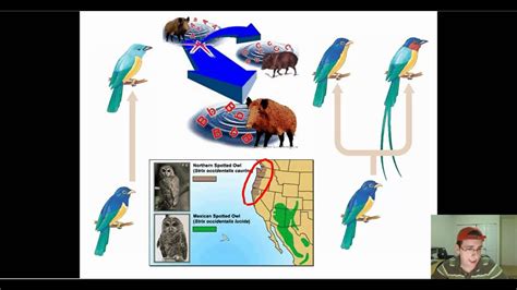 Isolation & Evolution - YouTube