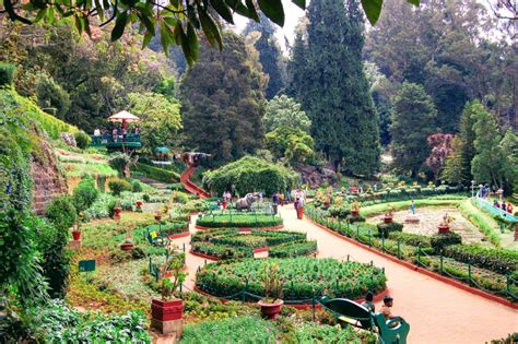 Tamilnadu Tourism: Government Botanical Gardens, Ooty, Nilgiris