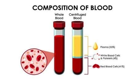 Plasma: What it is, what are its uses, and why it is essential ...