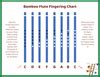 Bamboo Flute Fingering Chart — Blog: Music Library: A Music and Reading ...