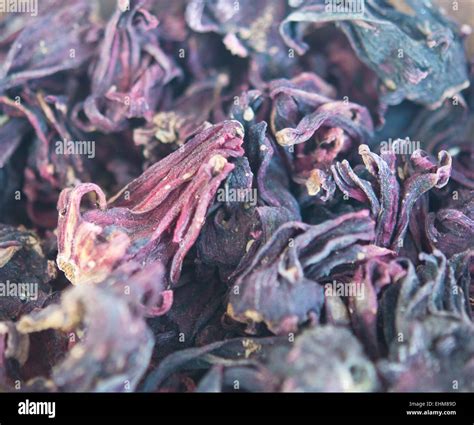 close up of karkade tea Stock Photo - Alamy