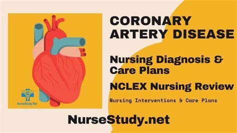 Coronary Artery Disease Nursing Diagnosis & Care Plan - NurseStudy.Net