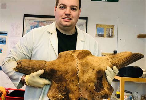 Complete prehistoric buffalo skull found in Cambridgeshire quarry by ...