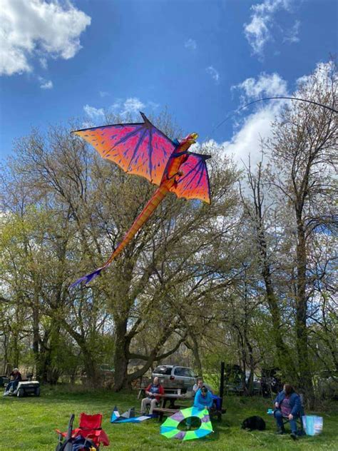 Kite Day! | AKA American Kitefliers Association