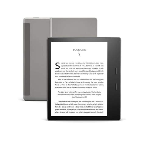 The Best E-Readers, Tablets for Reading Books 2024: Kindle, Kobo, Nook