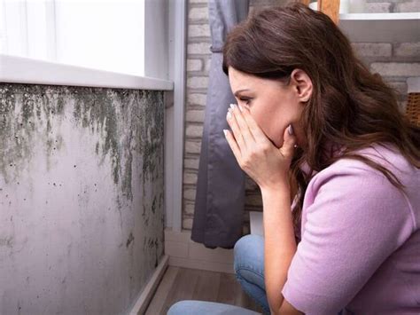 Got a mold allergy? Here's how to tell