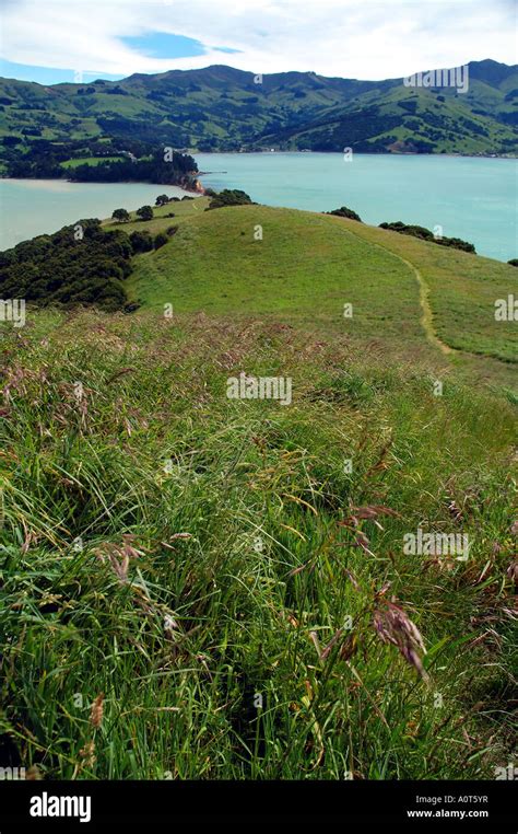 Maori pa hi-res stock photography and images - Alamy