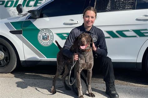 New York State Park Police assigns its first-ever female K9 officer - Greater Long Island