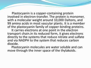 plastocyanin | PPT