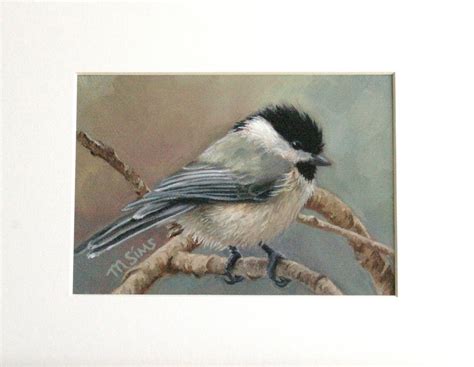 Black Capped Chickadee Chickadee Art Bird Art Chickadee - Etsy