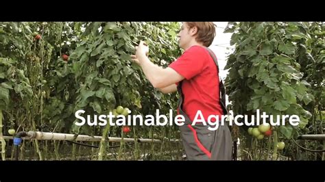 Sustainable Agriculture - YouTube