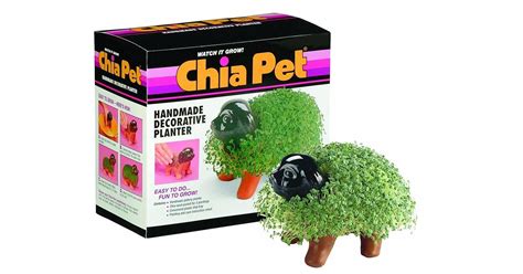 Chia Pets Are Back In Style For Millennial Plant Lovers