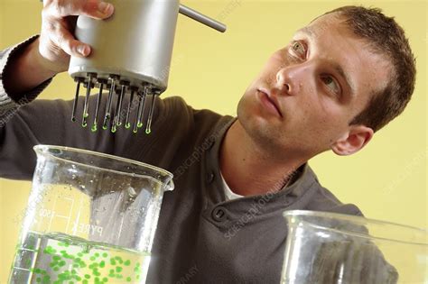 Sodium alginate bead production - Stock Image - C016/4182 - Science Photo Library