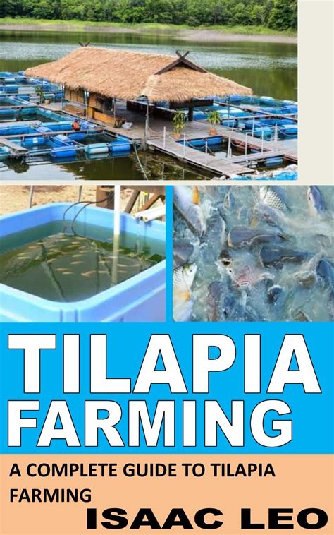 Buy TILAPIA FARMING: A Complete Guide To Tilapia Farming Online at ...