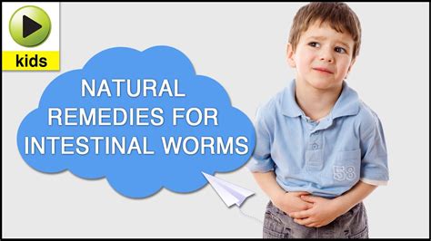 Home Remedies For Hookworms In Humans - kawevqfunds