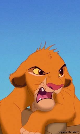 Angry baby Simba Angry Baby, Baby Simba, Hakuna, Lion King, Dreamworks ...