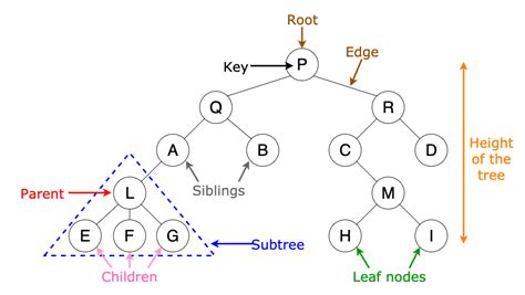 Trees | reading-notes