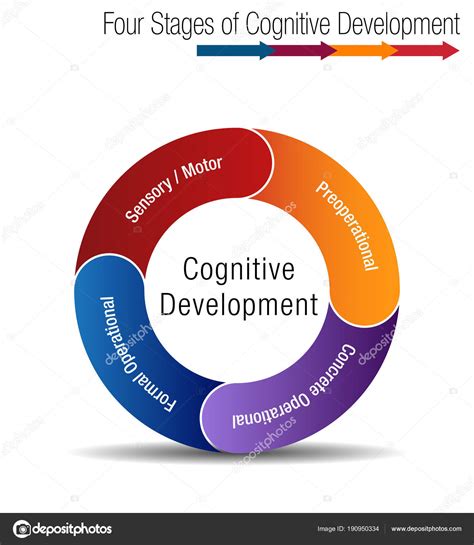 😊 Intellectual development stages. Cognitive Development. 2019-02-05