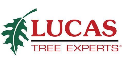 Privacy Policy | Lucas Tree Experts