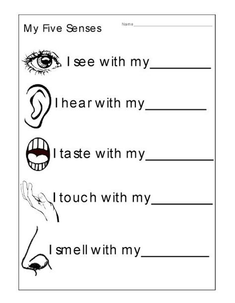 Kindergarten Worksheets: Kindergarten Worksheets - The 5 Senses Worksheets | English worksheets ...