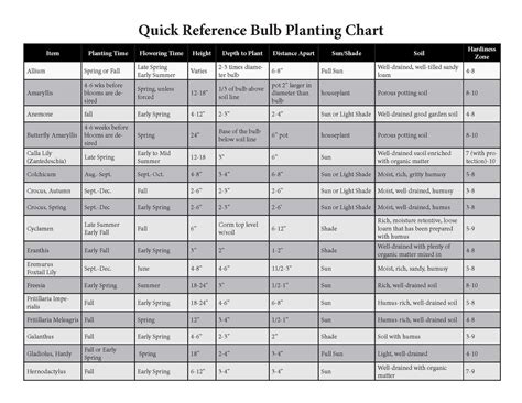 Reference Guide for Planting Bulbs | Park Seed