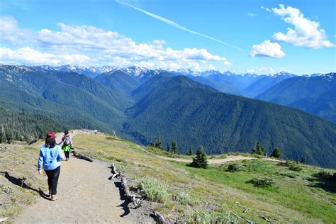 Hurricane Ridge Visitor Center in Olympic National Park | Olympic Hiking Co.