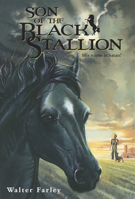 Black Stallion: Son of the Black Stallion (Paperback) - Walmart.com