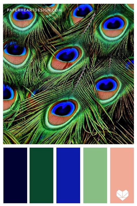 Peacock Feathers Color Palette w Hex Codes | Peacock color scheme ...