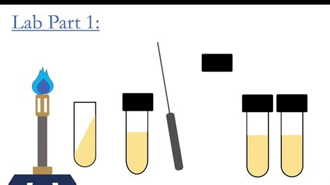 Ex 11,14,15 Extracellular Enzymes - YouTube